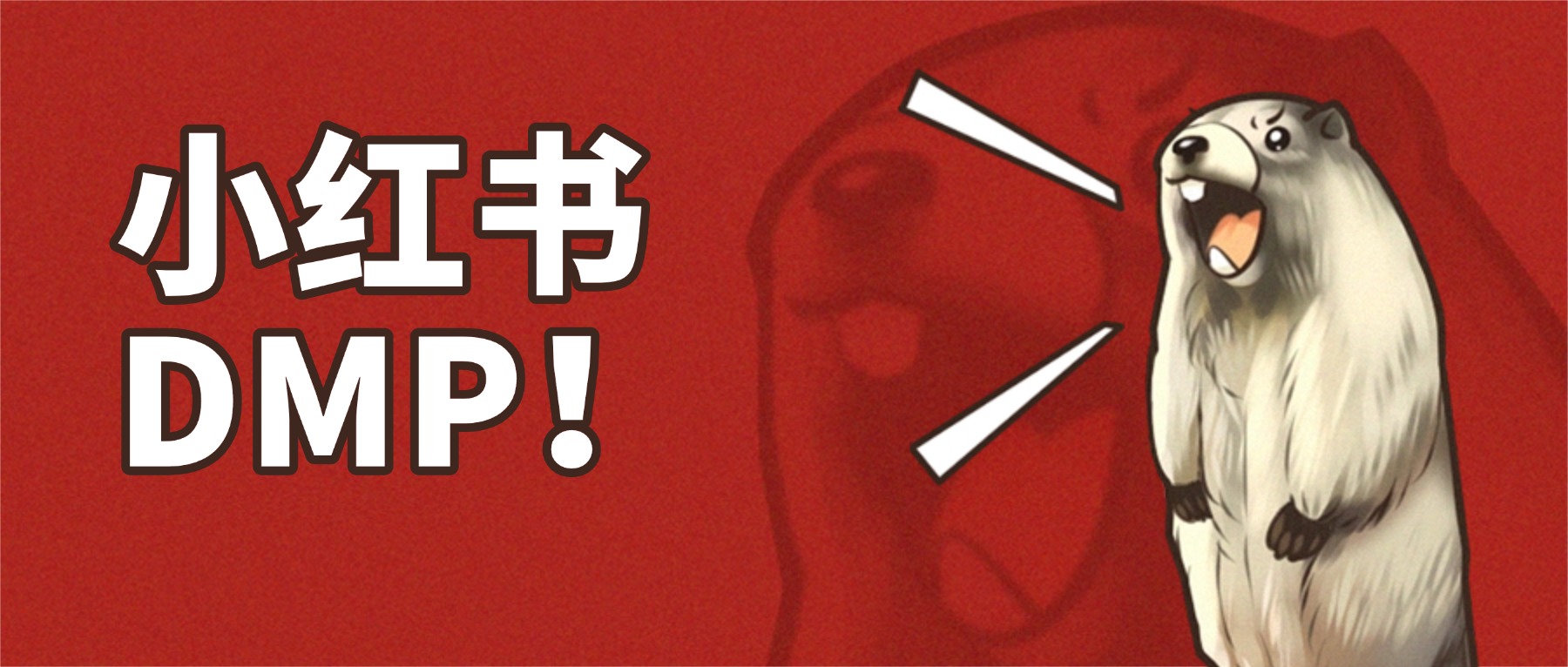 深圳厚拓动态资讯