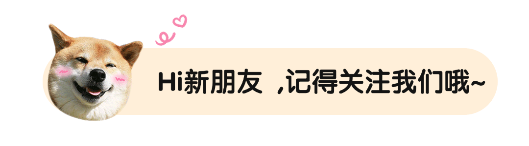 文件