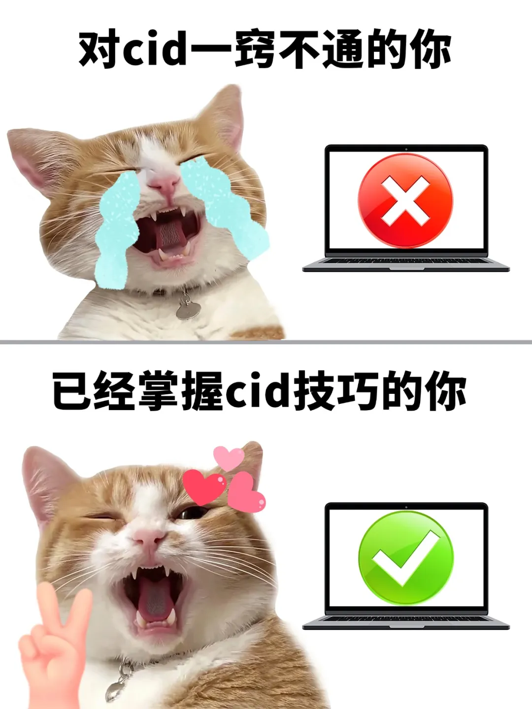 文件