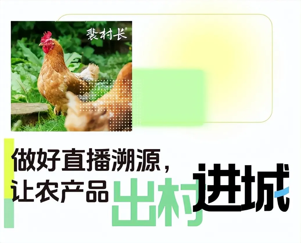 文件