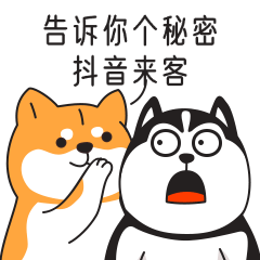 文件