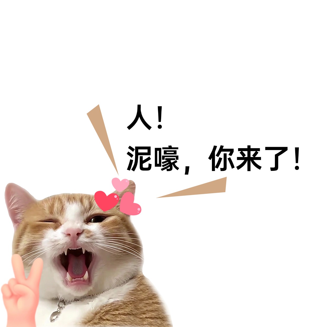 文件
